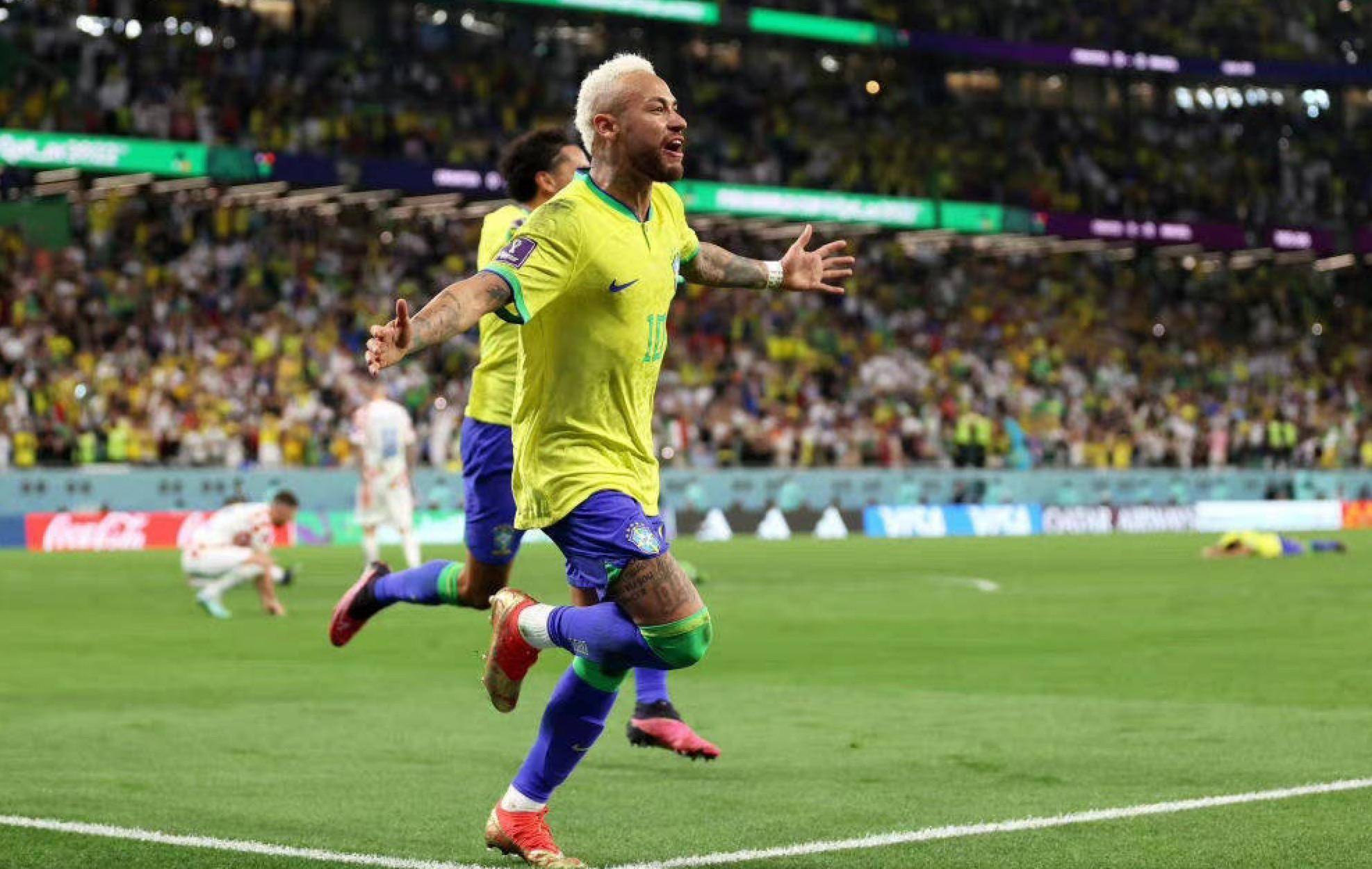 性和贡献度 性和贡献度