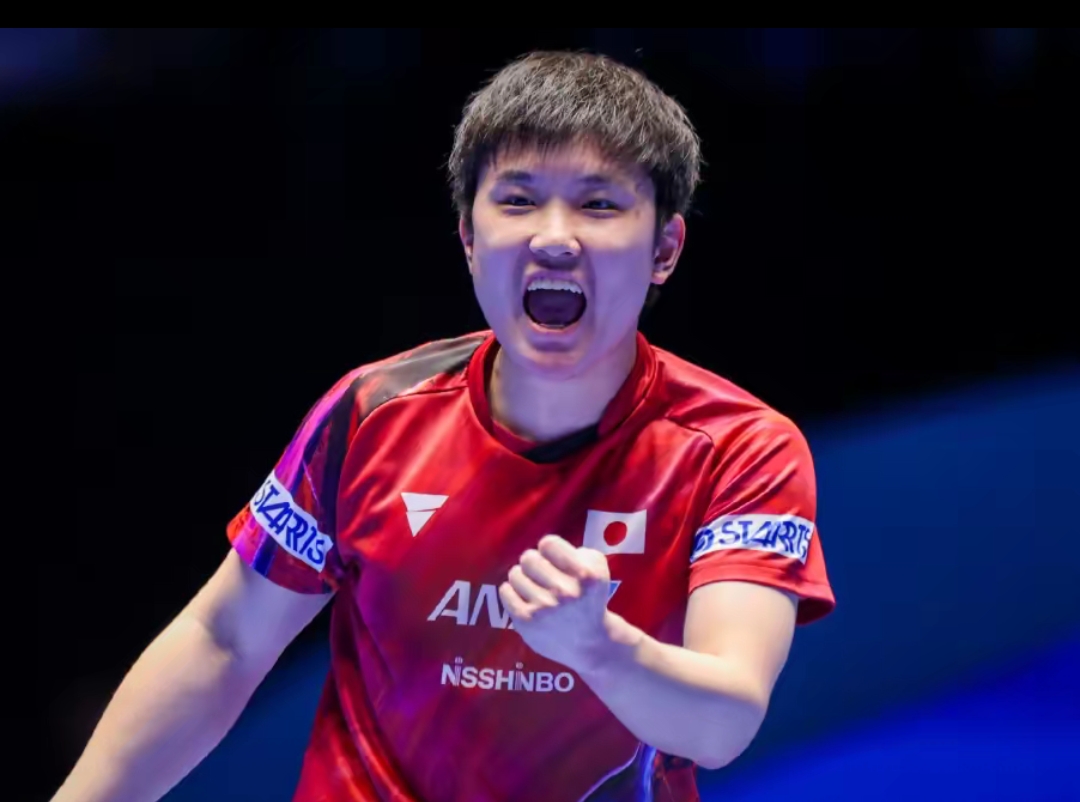 合实力不容 合实力不容