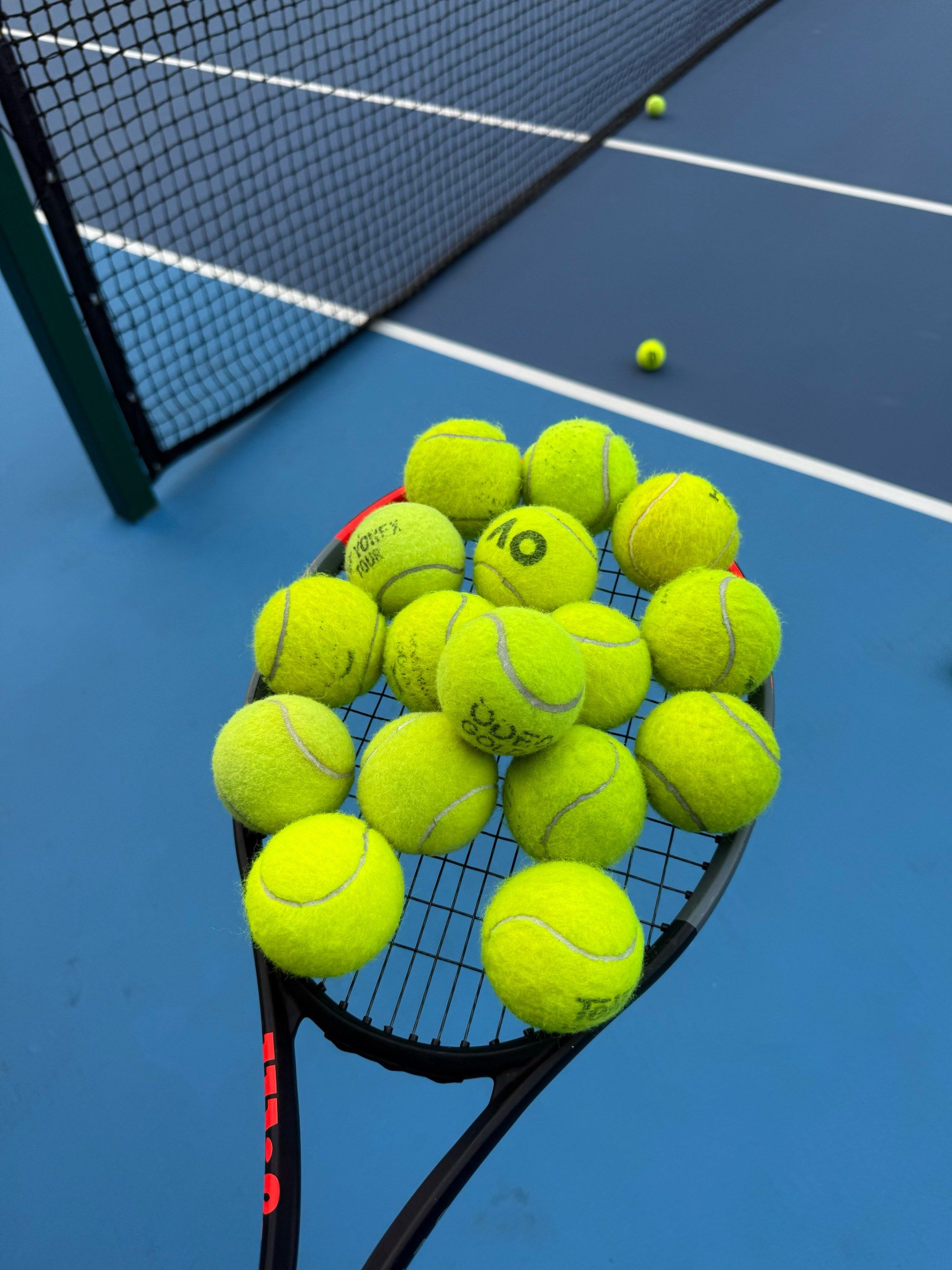 了球迷的心 了球迷的心