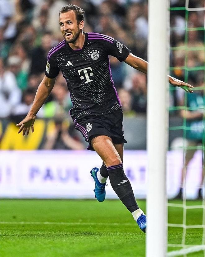 灰熊的英雄 灰熊的英雄