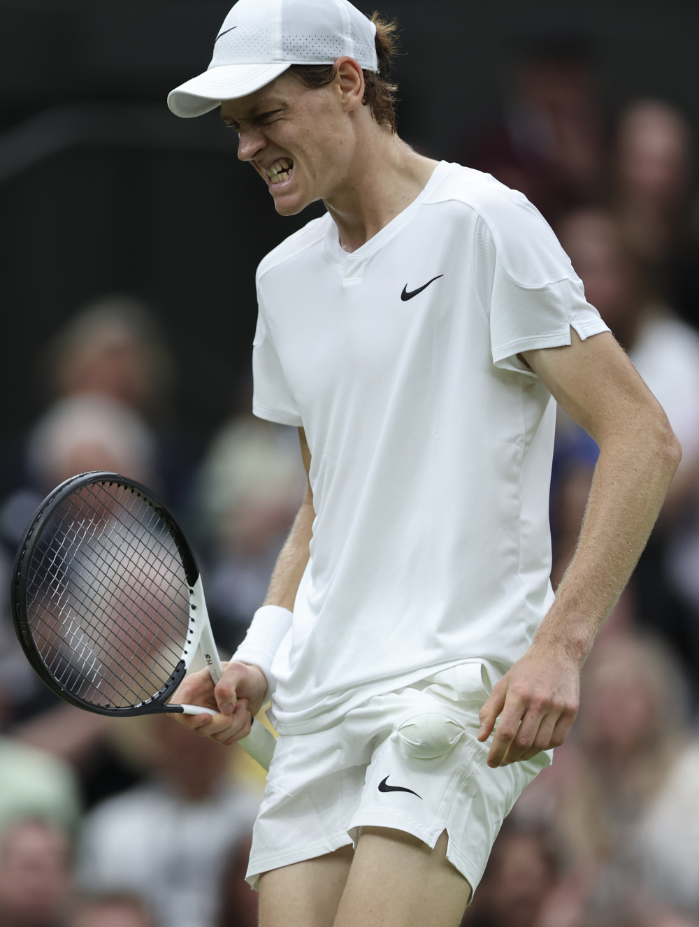 继续展现出 继续展现出